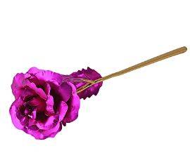 Gold Foil Plated Rose - Rose Red at 41% Off