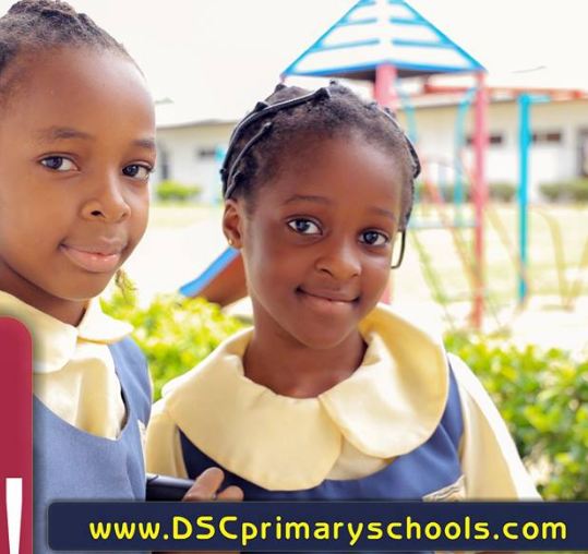 dsc-model-nursery-primary-schools-orhuwhorun-warri-delta-state