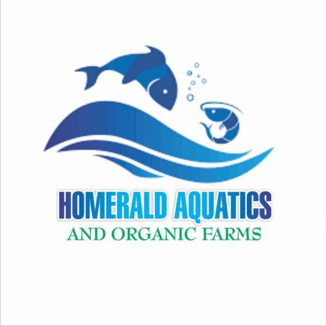 Homerald Aquariums Lekki Phase 1 Lagos State - Finelib.com