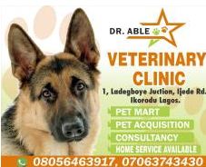 Dr. Able Veterinary Clinic Pet Shop Ikorodu Lagos Nigeria