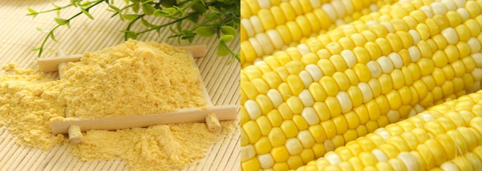 Corn Flour 10 Stunning Health Benefits Of Corn Flour Finelib